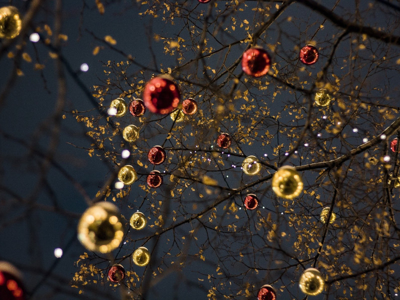 Weihnachtsgruß von uns