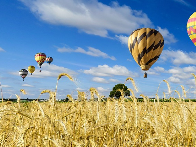 Unser Abschied und Sommergrüße
